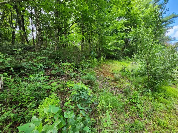 Tbd Hickory Hollow Ln, Copper Hill, VA 24079