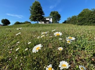 60 Zona Dr, Summersville, WV 26651