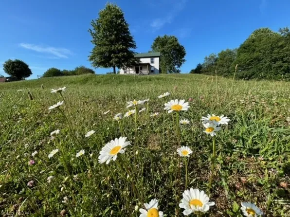 60 Zona Dr, Summersville, WV 26651