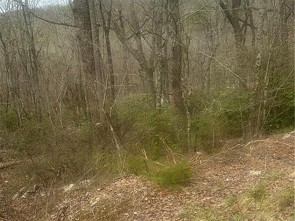 3rd image of 0 Mulberry Ln #148
