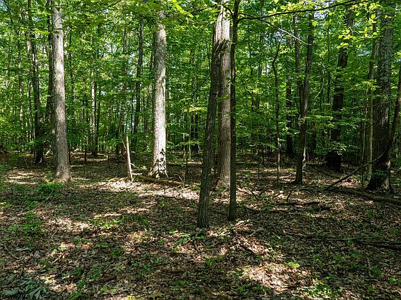 4th image of 1 Sycamore Fork Rd