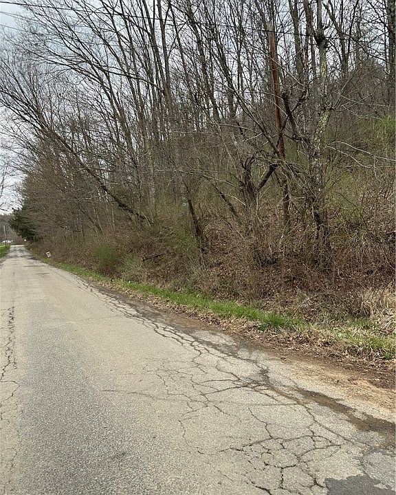 Rinehart Rd, Wallace, WV 26448 | Zillow