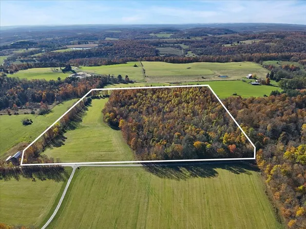 Moe Wilkins Rd, Le Raysville, PA 18829