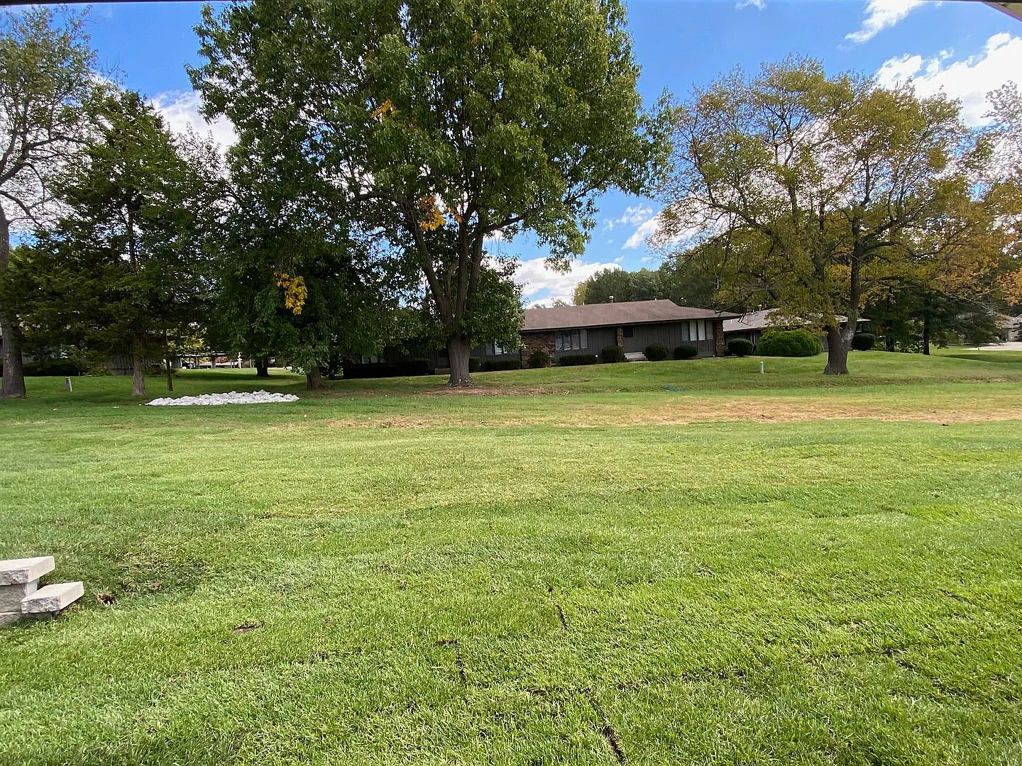 Hickory Village — Photo 4