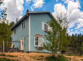 1601 S Pine Dr, Bailey, CO 80421