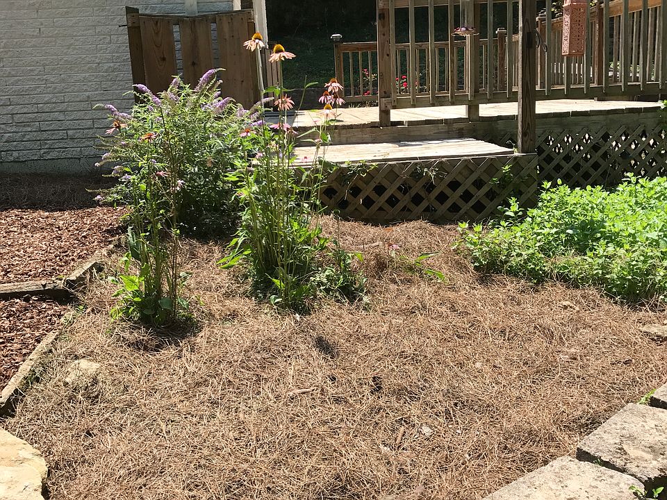 2nd image of 931 Forest Acres Ct