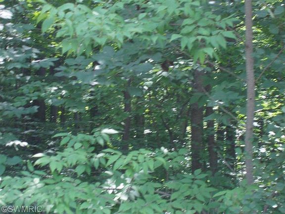 5th image of 57559 18th Ave