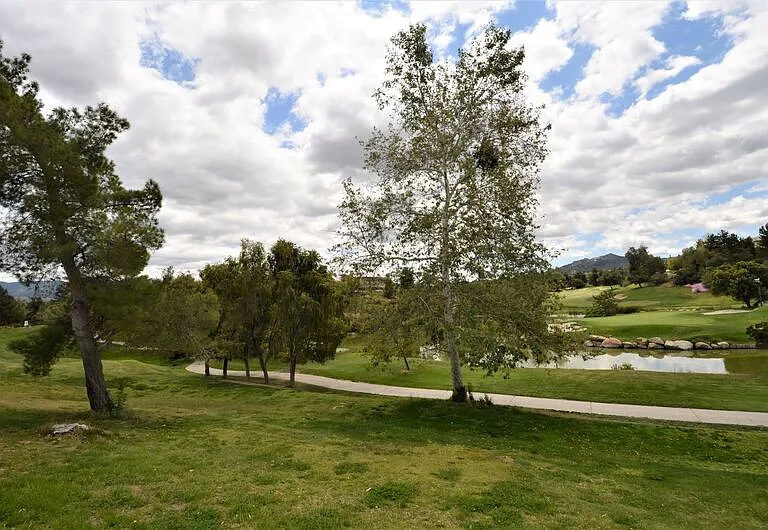 32579 Valentino Way — Photo 38