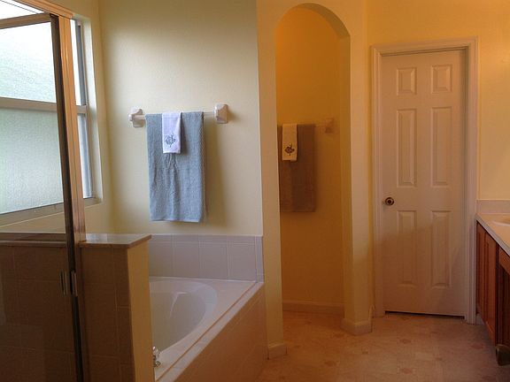 Master bath soaking tub
