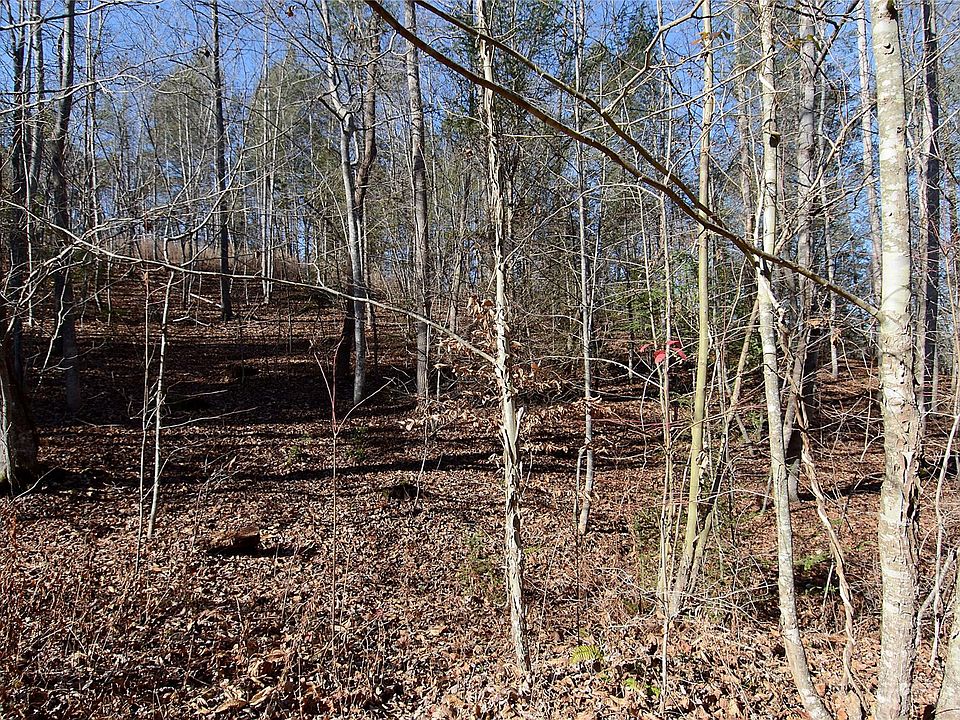 2nd image of 0 Wildwood Mountain Ln #19