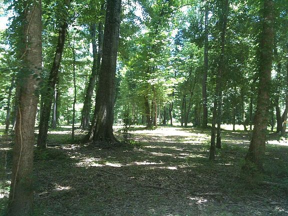 2nd image of Hunts Bluff Rd