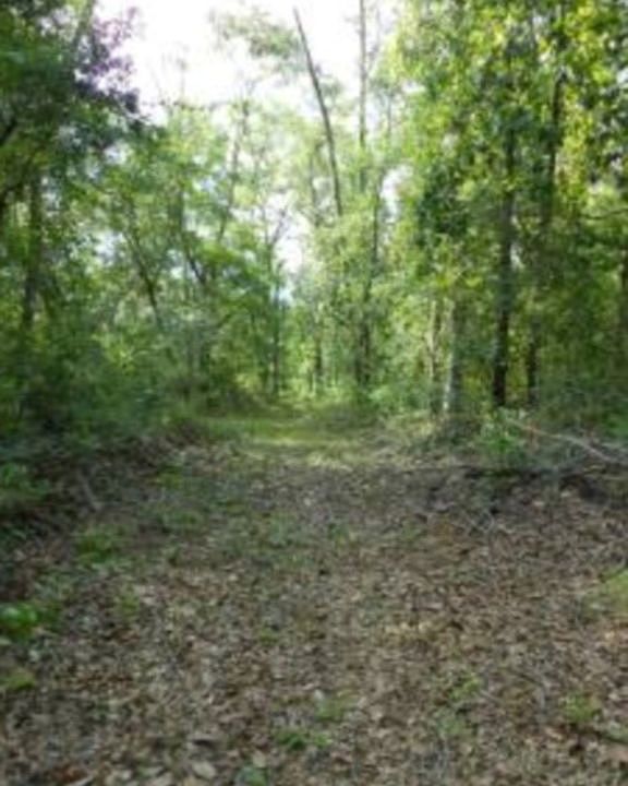 10-year old U-shaped path 