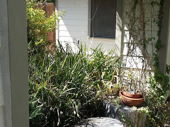 2nd image of 11320 Red Cedar Way