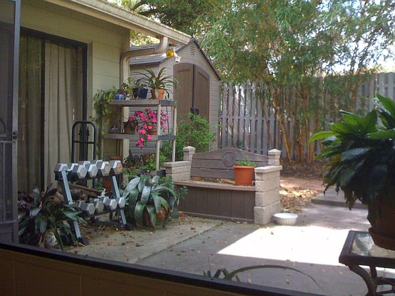 Back Patio & Shed