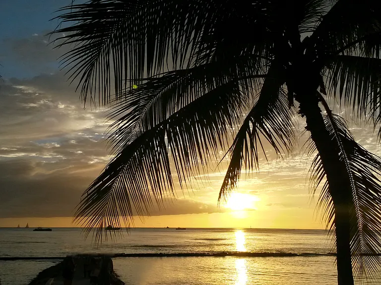 Paradise Awaits you