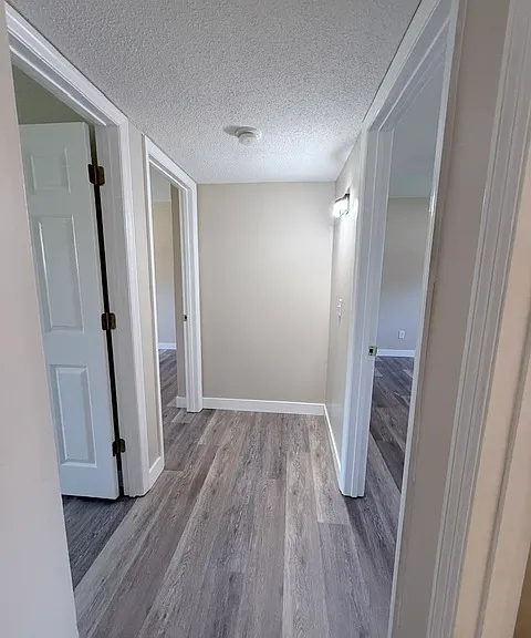 81 Lemans Ct — Photo 6