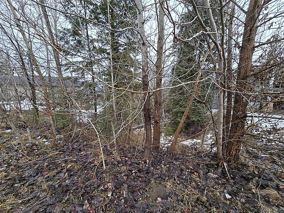 4th image of 2557 Cedar Ridge Ct