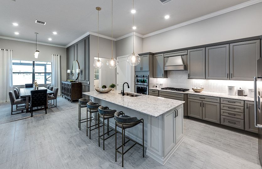 Model Representation