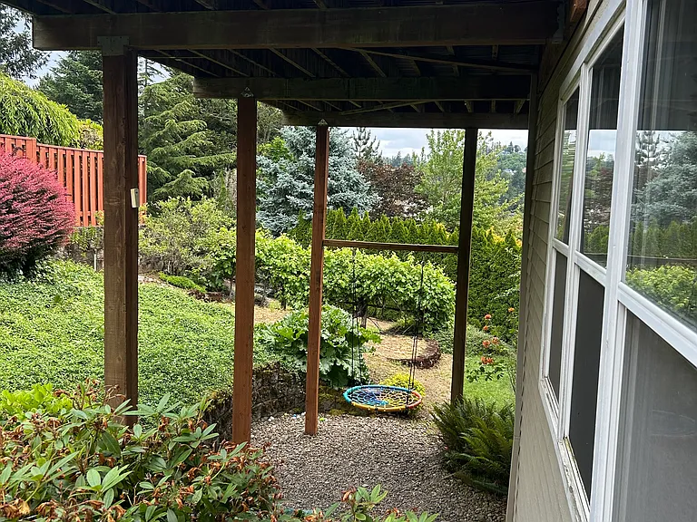 Backyard