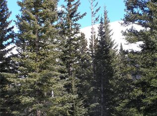 173 Ansley Ave, Alma, CO 80420