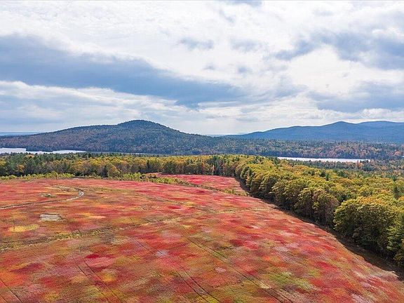 4th image of 423 Beech Hill Road