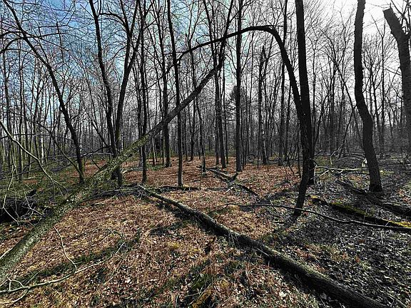 2nd image of 1934AC County Road V