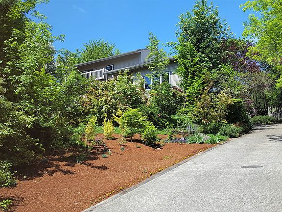 Flag Lot - driveway to house