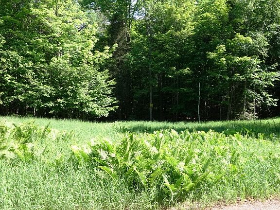 3rd image of Lot 1 Fisher Lake Road