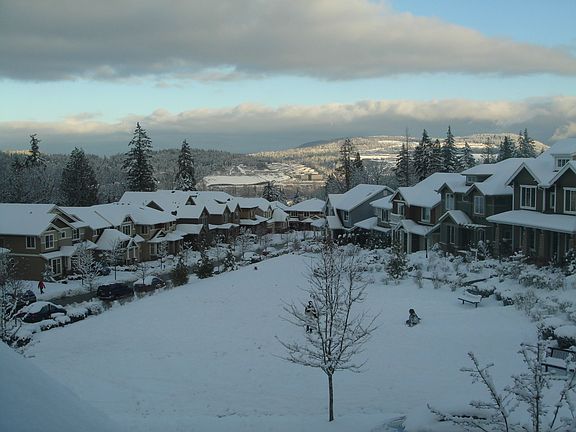 Winter view