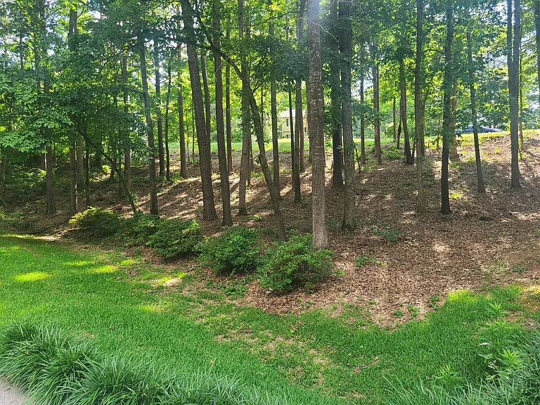 127 Welcome Wood Dr — Photo 8