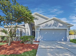 2703 Buckhorn Preserve Blvd, Valrico, FL 33596