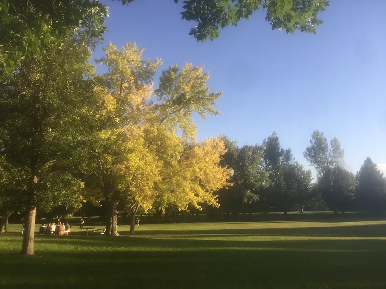 A glorious sunlit day at the park.