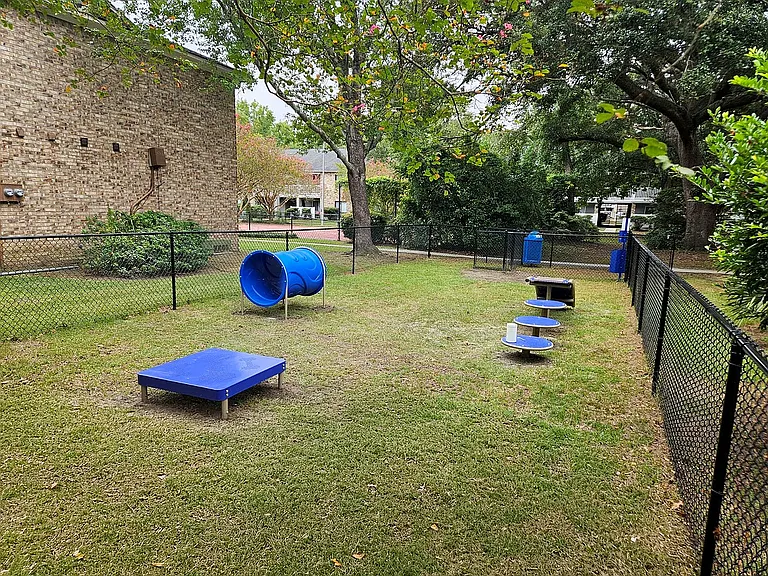 New Dog Park Area