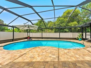 1138 Pelican Pl, Safety Harbor, FL 34695