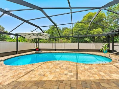 1138 PELICAN PLACE, Safety Harbor, FL, 34695