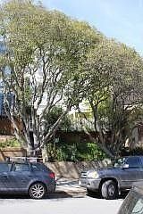 2nd image of 236 Corbett Ave