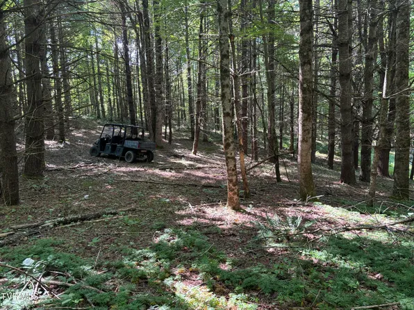 0 Betty Hammons Ln, Mountain City, TN 37683