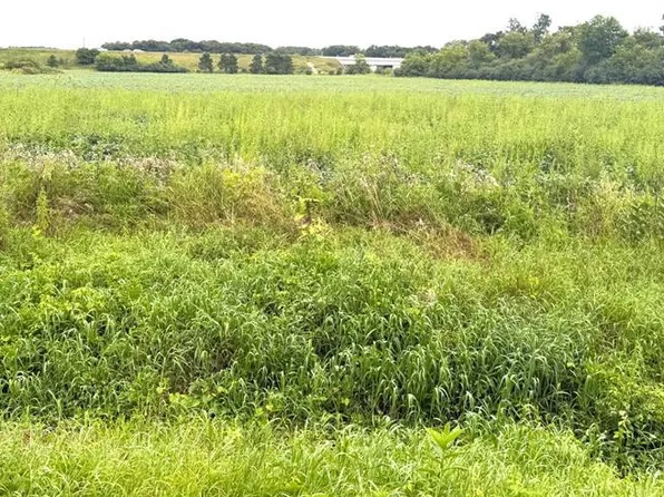 Lot 2 Van Tassel Rd, Osseo, WI 54758