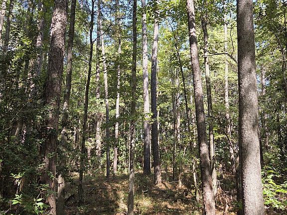 3rd image of 2110 Forest Hill Rd
