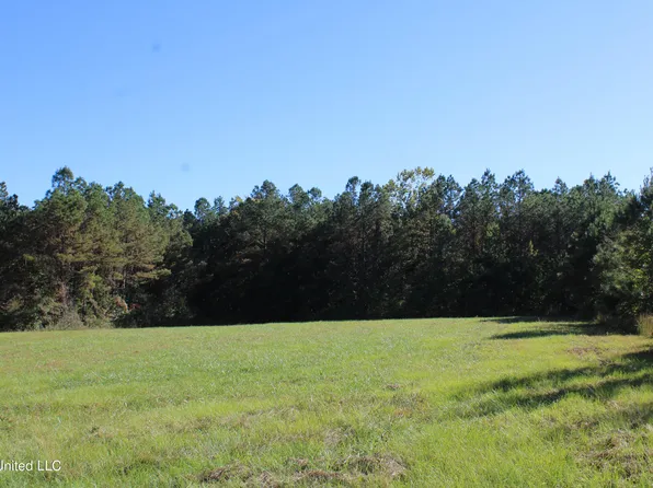 1507 Lower Gurley Rd, Potts Camp, MS 38659