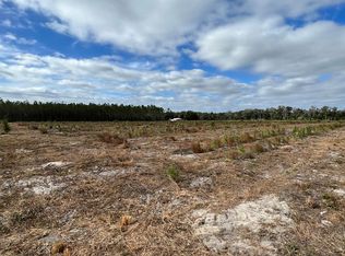 NW 55th Ave, Bell, FL 32619