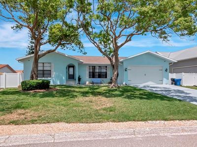 1017 Sago Palm Way, Apollo Beach, FL, 33572