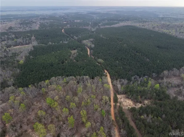 0 Grant Rd, Vina, AL 35593