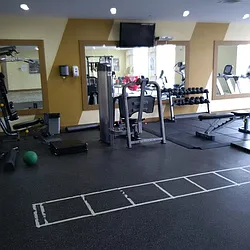 Rented by Prime Space Realty Corp