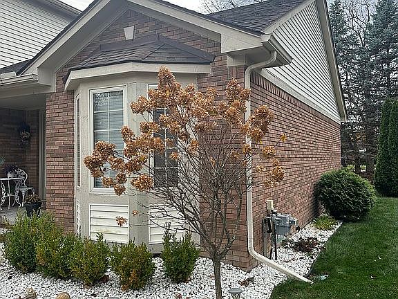 4th image of 34231 Trillium Ct #15