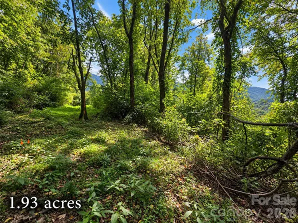 81 Dove Crest Ln #18 & 33, Waynesville, NC 28786