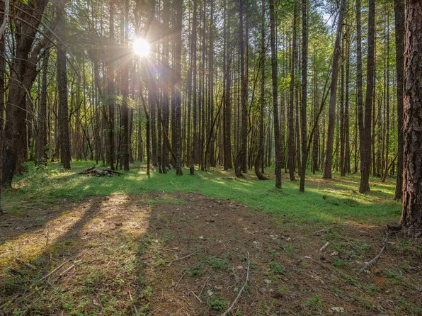 355 Firview Ln, Wilderville, OR 97543