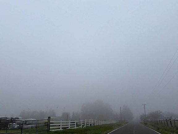 5th image of 8318 Kobert Rd