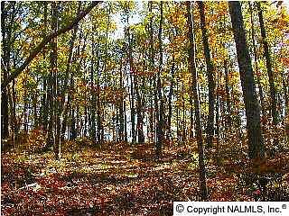 1st image of 7 Blowing Cave Rd