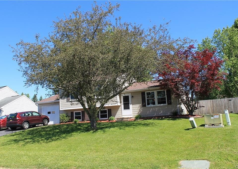 1st image of 8123 Mesa Ln